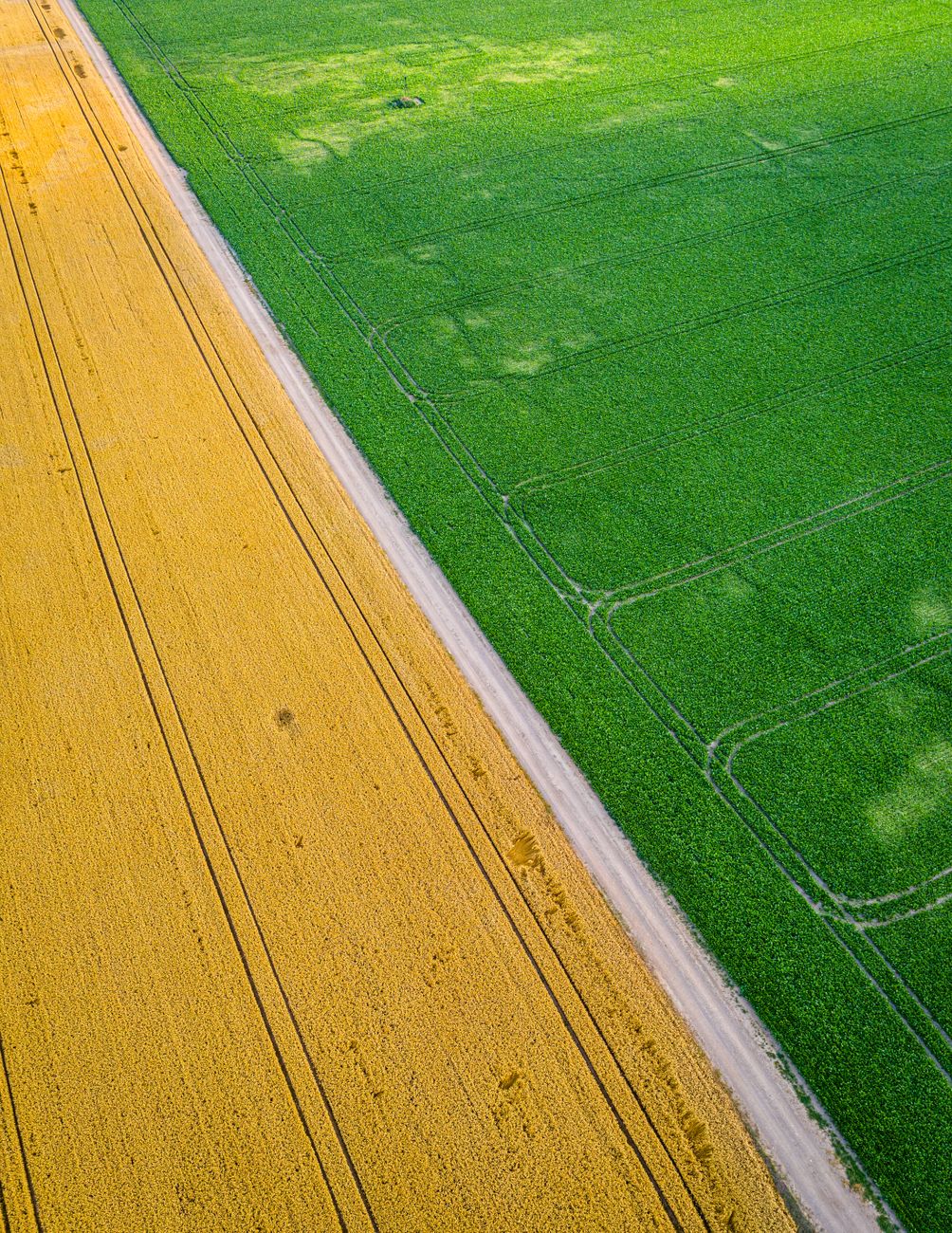 La trampa del pensamiento dicotomico en el&nbsp;campo